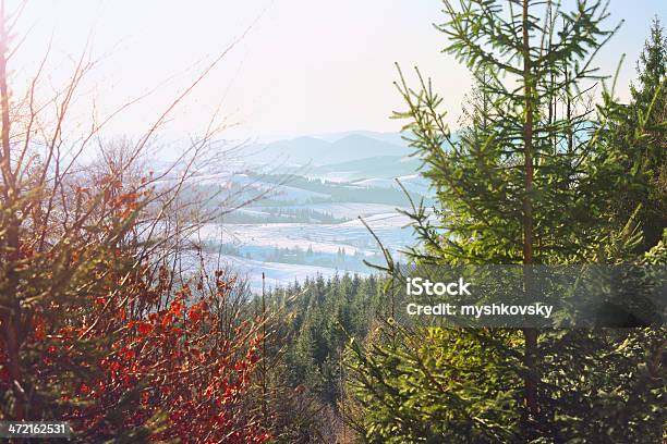 Vista De Montanhas Nevadascomment Carpathian - Fotografias de stock e mais imagens de Abeto - Abeto, Ao Ar Livre, Beleza natural