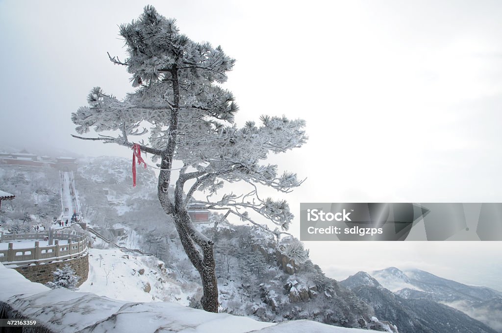 Тайшань в снег - Стоковые фото Дерево роялти-фри