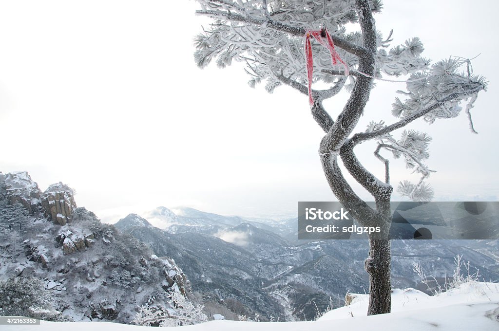 Taishan en la nieve - Foto de stock de Aire libre libre de derechos
