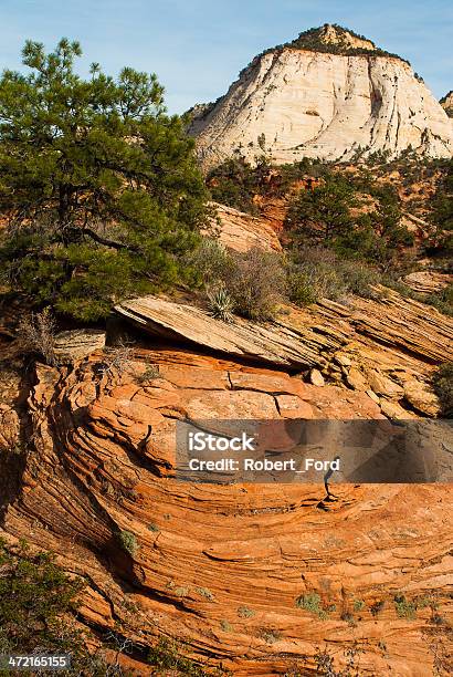 Rock Hoodoos Y De Erosión Pináculos En El Parque Nacional Zion Foto de stock y más banco de imágenes de Acantilado