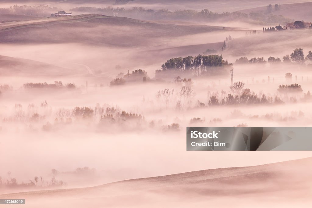 Niebla de la mañana temprana frente al paisaje ondulado, Toscana, Italia - Foto de stock de Agricultura libre de derechos