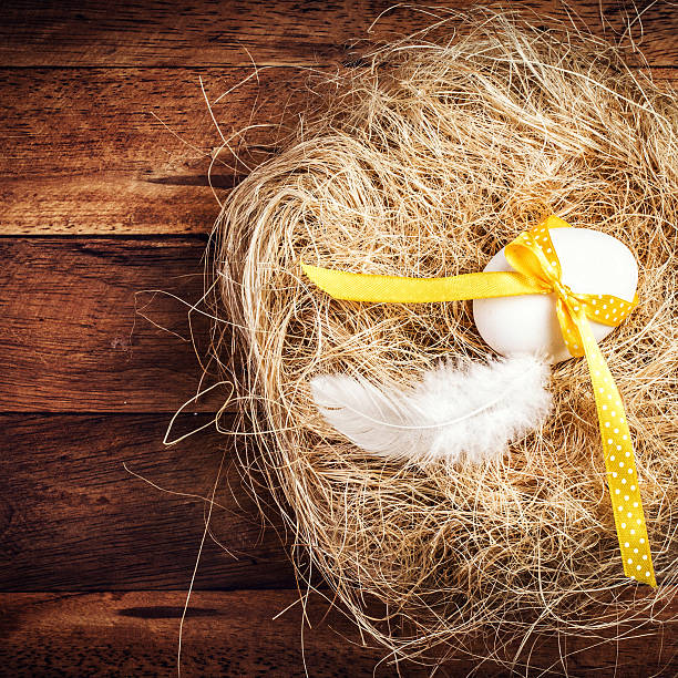 istock Easter nest with Egg, yellow ribbon and white feather 472169357