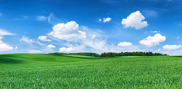 istock Panoramic spring landscape 35MPix XXXXL - green field, blue sky 472169563