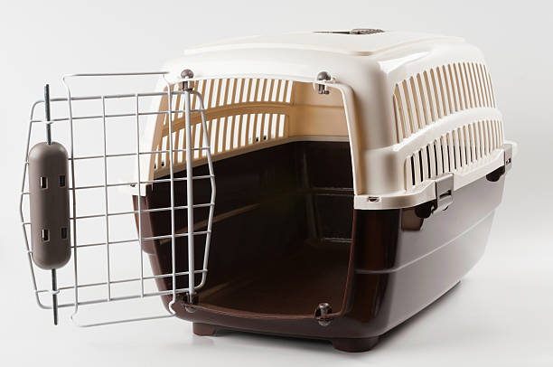 Pet carrier opened Opened pet travel plastic carrier on white transportation cage stock pictures, royalty-free photos & images
