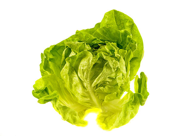 istock Fresh salad lettuce isolated on white 472171061