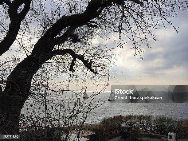 Turkey Istanbul Moda View Out To Sea With Trees Stock Photo - Download Image Now - Kadikoy, Fashion, Arts Culture and Entertainment