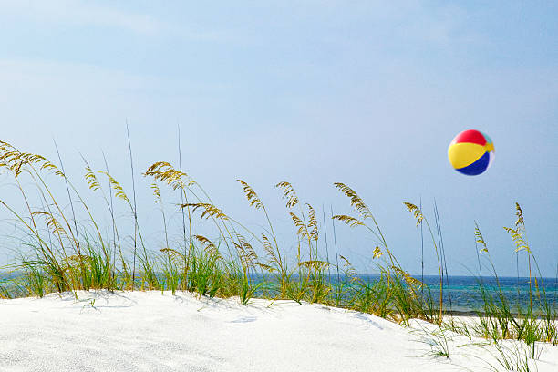 palla da spiaggia - sand beach sand dune sea oat grass foto e immagini stock