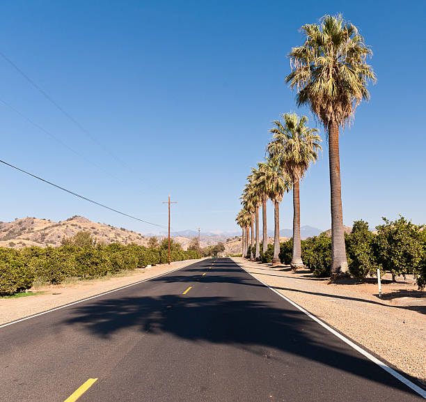 California highway with palm trees stock photo