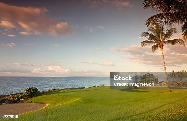 Golf Green By The Ocean Stock Photo - Download Image Now - Golf Course, Golf, Palm Tree