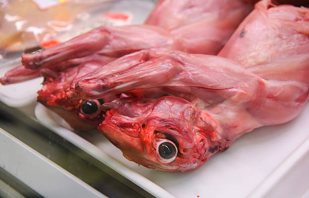 skinned rabbits in a butcher shop. 2 skinned rabbits in a butcher shop in Narbonne, France, on a white tray