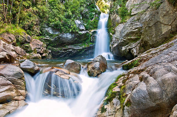 Wainui Falls, Abel Tasman National Park, South Island, New Zealand in daylight and slow shutter speed during southern hemisphere summer in February