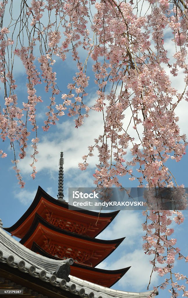 Cherry blossom, Japão - Foto de stock de Arquitetura royalty-free