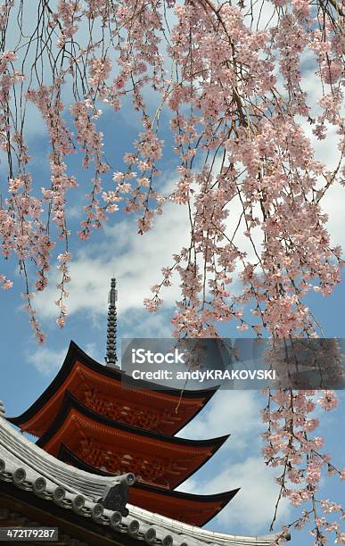 Foto de Cherry Blossom Japão e mais fotos de stock de Arquitetura - Arquitetura, Cerejeira - Árvore Frutífera, Cultura Japonesa