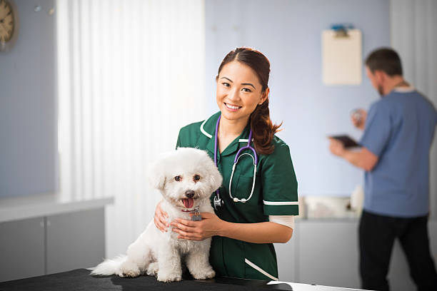 istock happy vet nurse and dog 472179348