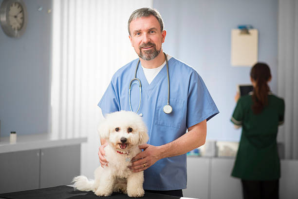 vet with bichon frise