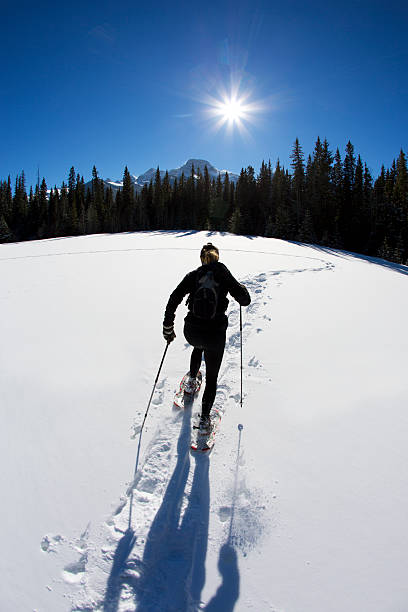 istock Snowshoe to the Sun 472184179