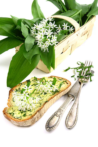 herb butter wild garlic (Allium ursinum) on bread wild garlic ramson leaves for herb butter. in background a basket with garlic leaves and antique silverware on white isolated background zigeunerlauch stock pictures, royalty-free photos & images