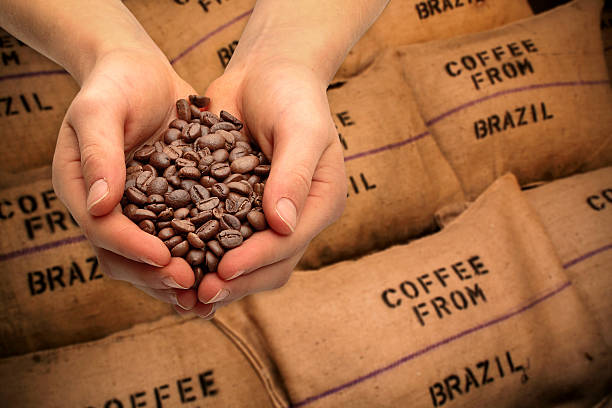 trading with coffee beans - coffee bag coffee bean canvas стоковые фото и изображения