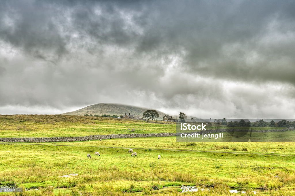 Típica zona rural inglesa paisagem de Ribblesdale Yorkshire - Foto de stock de Agricultura royalty-free