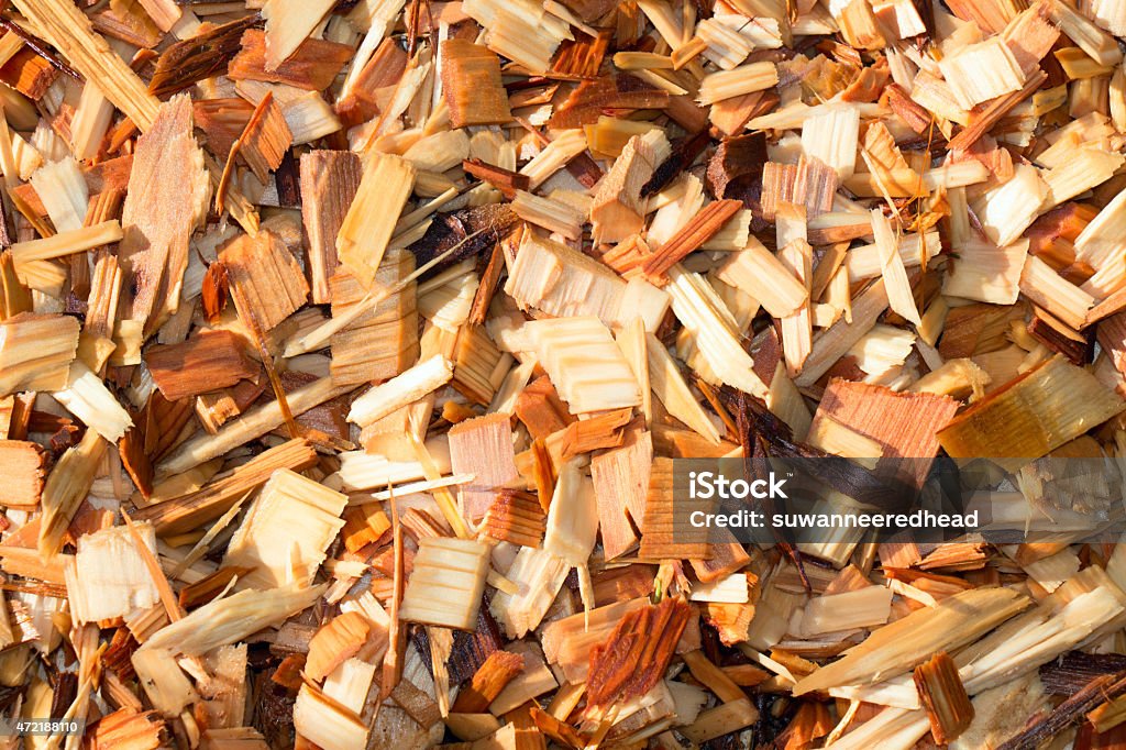 Wet Cedar Garden Wood Chips A texture shot of fresh wet garden wood chips or mulch with morning sunshine. Cedar Tree Stock Photo