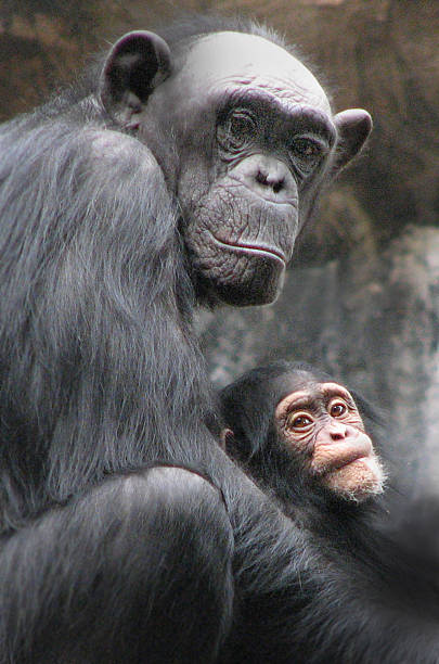 istock Mother and baby 472188981