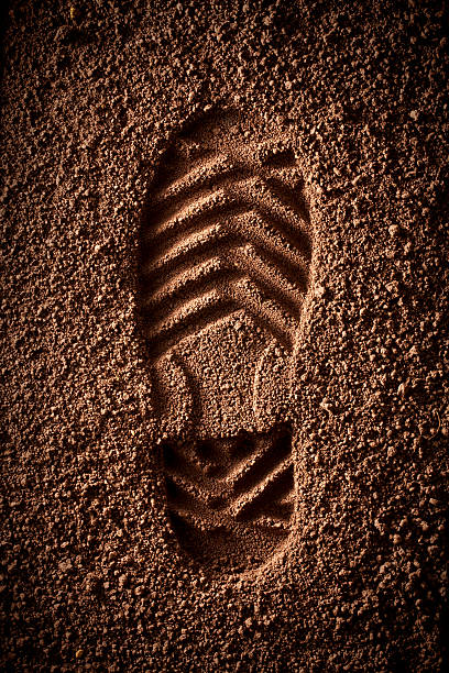 impronta di scarpa nel suolo - plowed field dirt sowing field foto e immagini stock