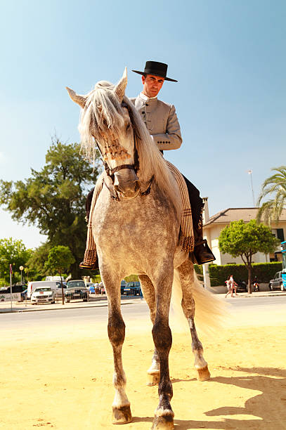 denken horse - horse andalusia saddle gray stock-fotos und bilder