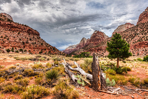 istock Zion National Park, Utah, USA 472193097