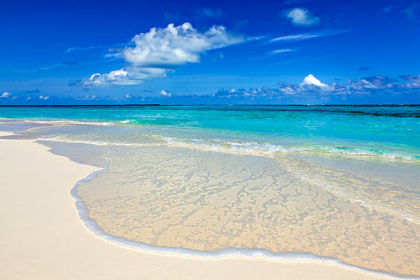 istock paradise beach on the island 472194071