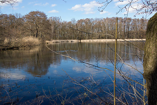 istock beautiful day at the lake 472195577