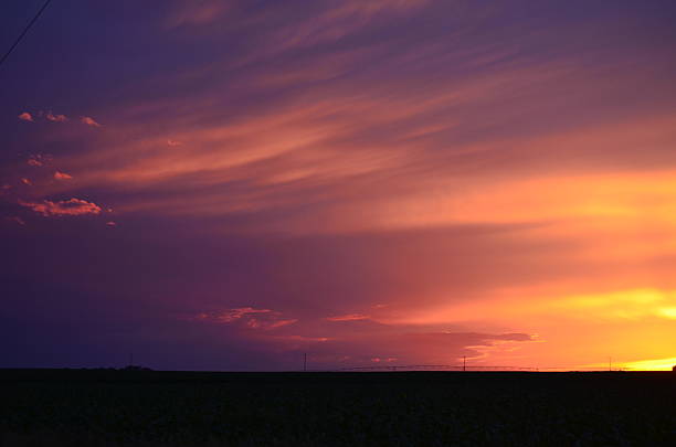 viola tramonto e fiore barre - nebraska landscape midwest usa landscaped foto e immagini stock