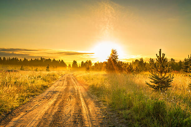 istock summer rural landscape with sunrise  and the road 472196468