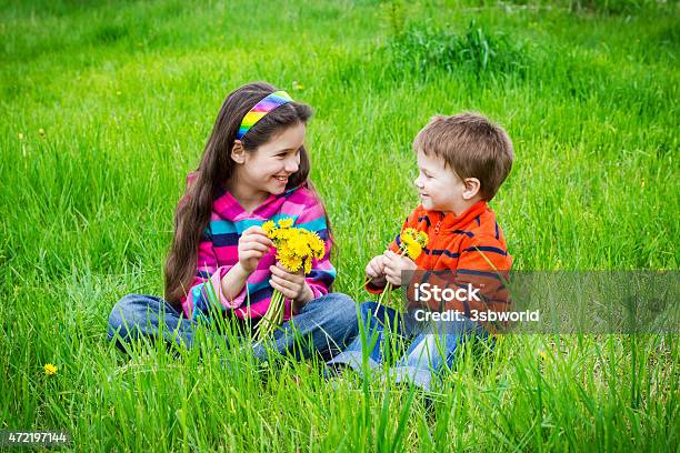 Two Kids With Dandelions On A Meadow Stock Photo - Download Image Now - 2015, Agricultural Field, Allergy