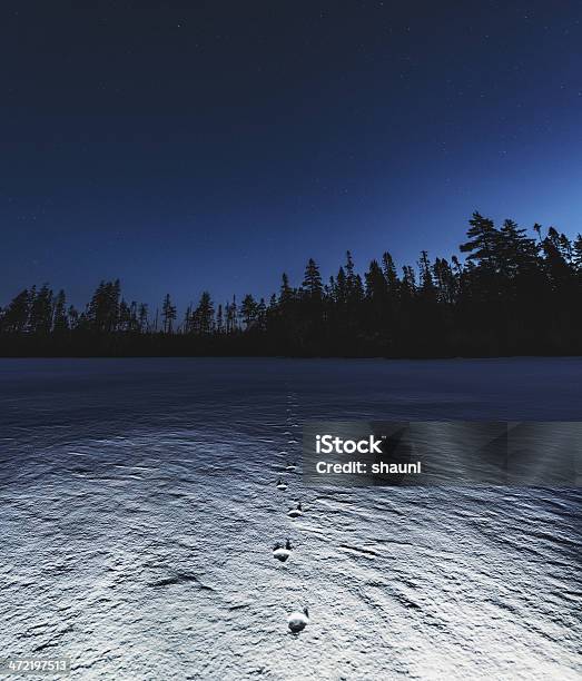 Lake Of The Coyote - Fotografie stock e altre immagini di Impronta del piede - Impronta del piede, Neve, Notte