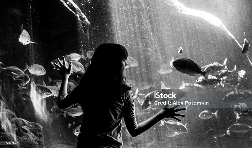 Teenager  girl looking to fishes in the fish tank Teenager  girl looking to fishes in the aquarium. Low-lighting, granity photo Animal Stock Photo