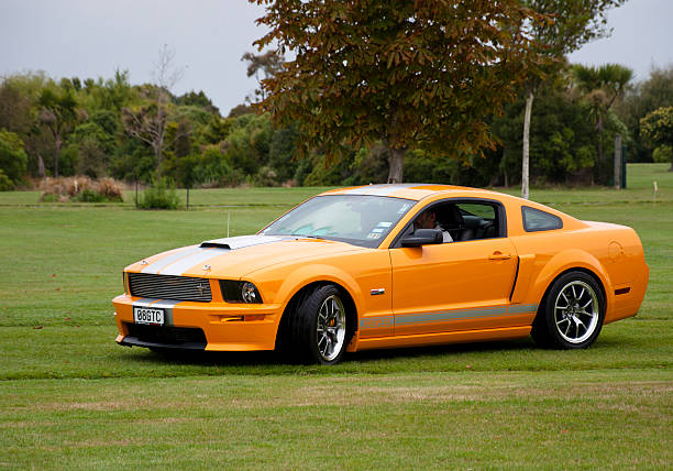 Ford Mustang Shelby Gt From 2007 Stock Photo - Download Image Now - Ford  Mustang Cobra, Car, Domestic Car - iStock