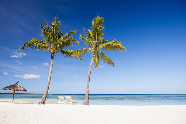 istock Idyllic beach on tropical island 472203167