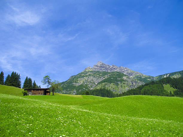 istock wooden farbhouse in the alps 472203396