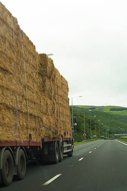 istock Truck on the road 472205169