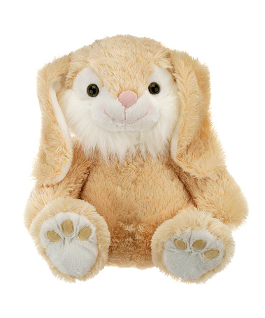 Children's stuffed toy rabbit on a white background