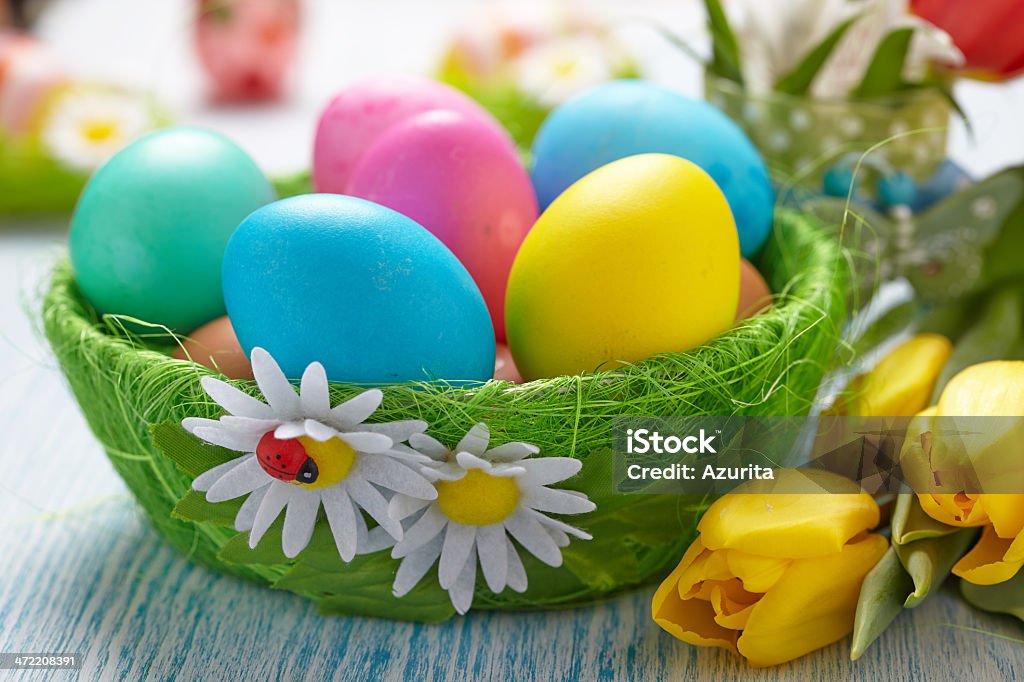 Easter eggs Animal Nest Stock Photo