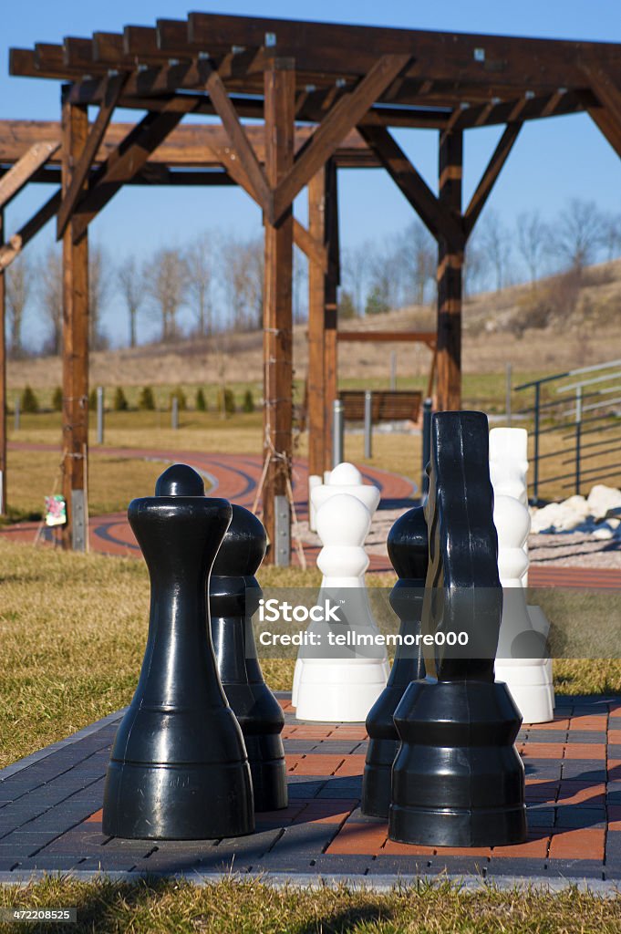Royal Jeu d'échecs - Photo de De grande taille libre de droits