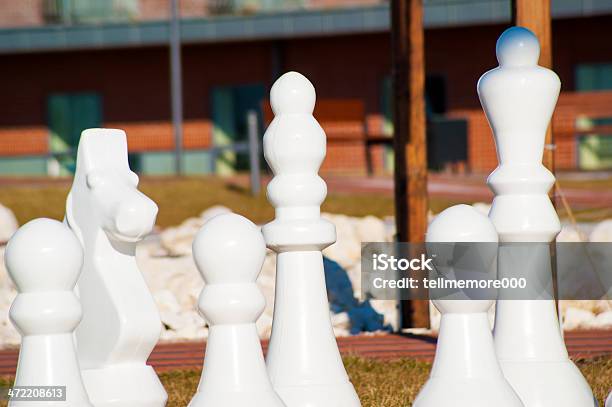Royal Schach Stockfoto und mehr Bilder von Bauer - Bauer, Dame - Schachfigur, Fotografie