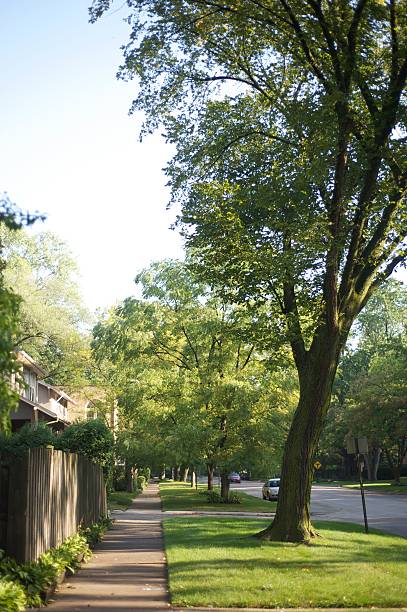 Residential Sidewalk stock photo