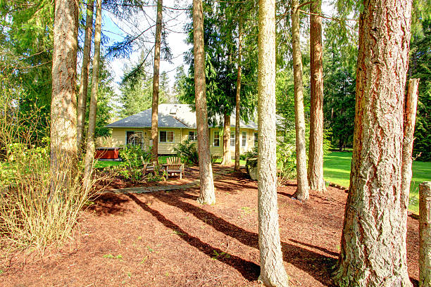 istock Landscaping idea. Countryside house with rest  area 472209501