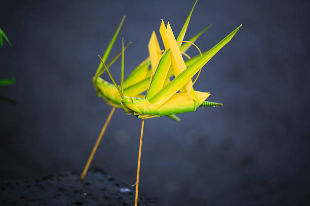 wicker grasshopper made of coconut leaves