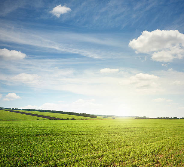 istock green meadow and blue sky 472210166