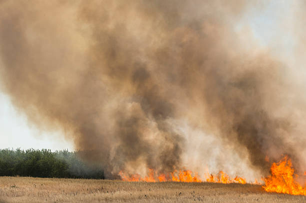 istock Smoke and Flames From Grass Wildfire Burning Near Rural Farm 472211076