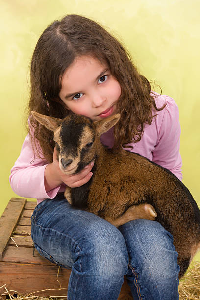istock Girl hugging baby goat 472211593