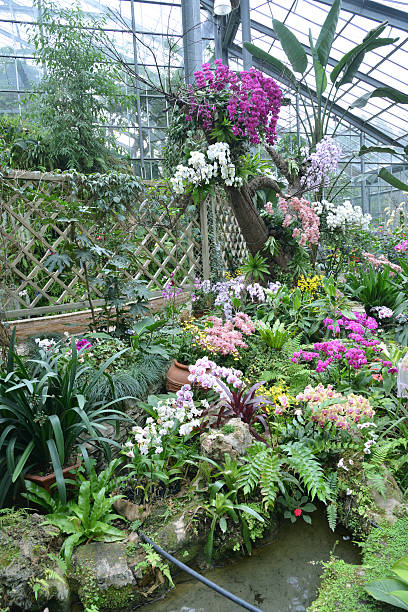 istock Tropical greenhouse garden 472212105